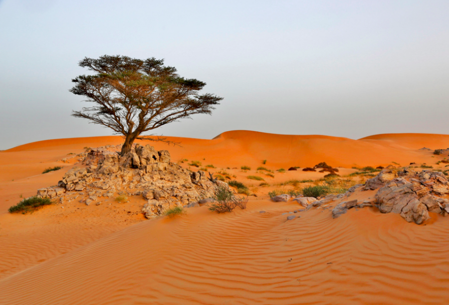 The sands of