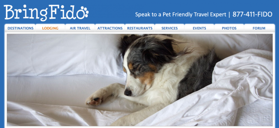 BringFido.com is a great site you can use to find pet friendly hotels.