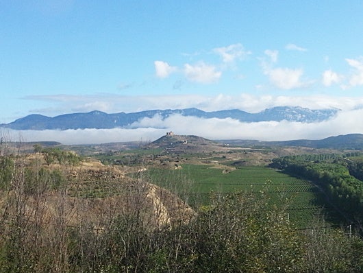 Driving through La Rioja is absolutely stunning