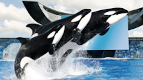 seaworld