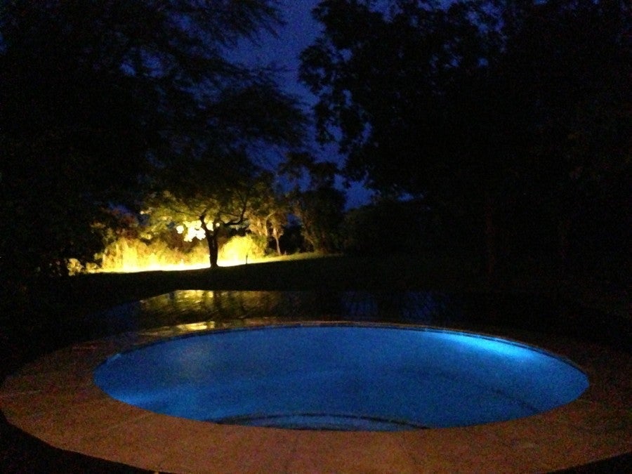 Nice little pool that I didn't even use