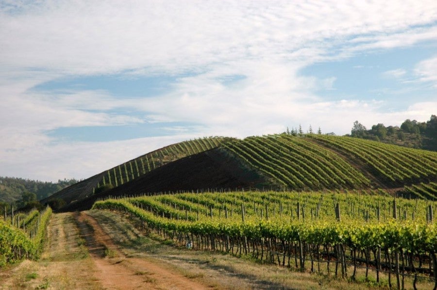 Kingston Family Vineyards.