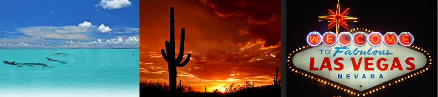 Visit one of our 2013 North America destinations: Key West, Tucson, or Las Vegas.