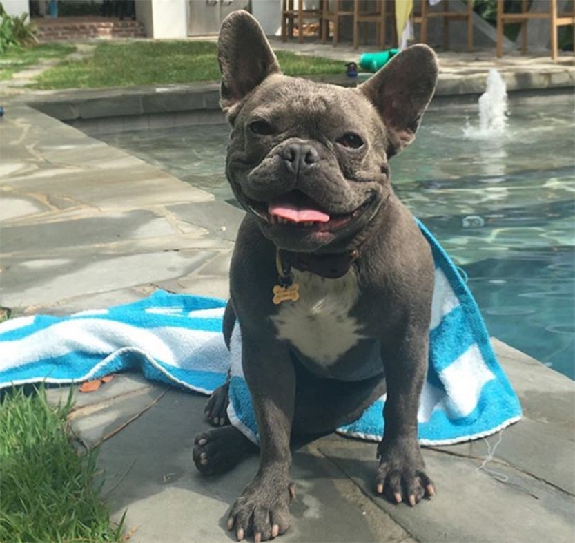 Miles enjoying the hotel pool. Photo by @thepointsguy