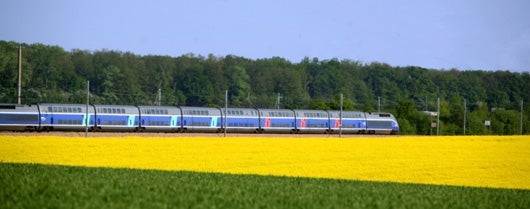 TGV in Fontainebleau