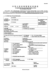 Example of the lengthy and cumbersome China visa application.