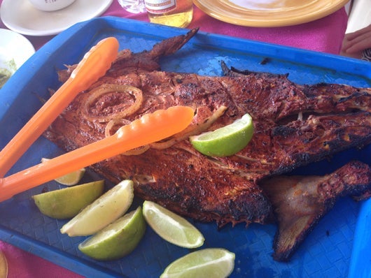 Yucatecan Tikin Xik at Playa Lancheros