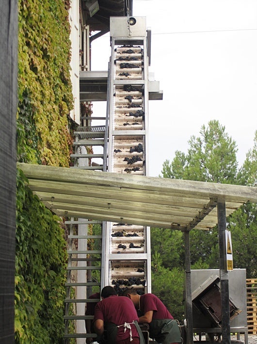 "La Vendimia" means the grape harvest