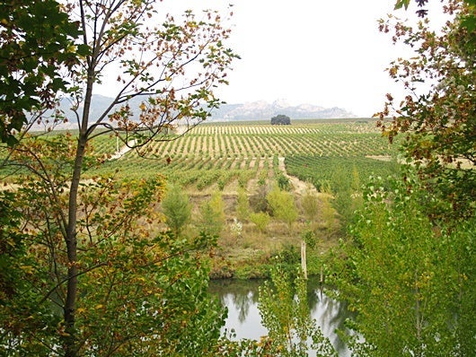 La Rioja is beautiful at any time of year. Photo by Lori Zaino.