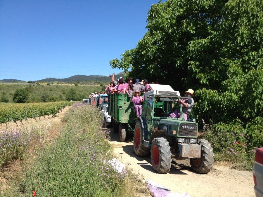TPG Contributor Eric Rosen snapped this pic after returning from the Wine Fight last year in Haro