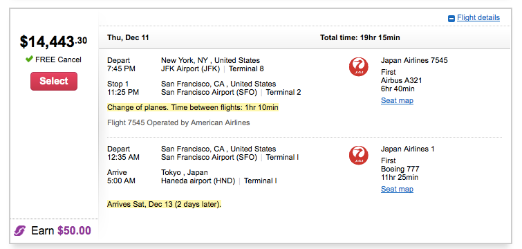 JAL Flight to Japan