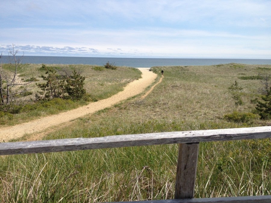The quiet bike path along Nantucket's Surfside Beach.
