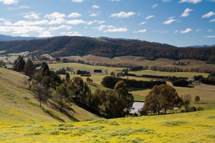 Drive a convertible through the hills of Australia's Yarra Valley, stopping at breweries and wineries along the way. Photo courtesy of Shutterstock. 