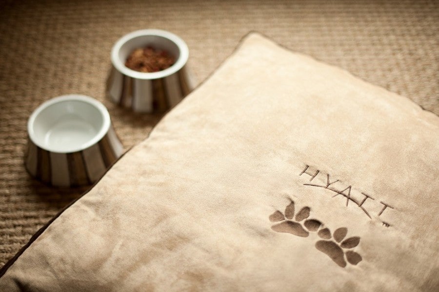 Most of Hyatt's properties are dog-friendly, including the Park Hyatt Washington in DC. Photo courtesy of Hyatt.