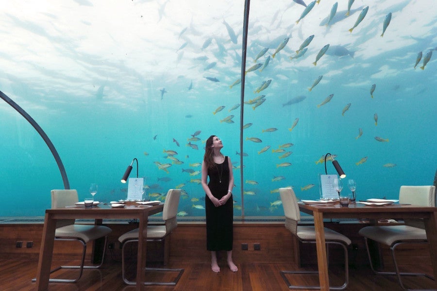 Ithaa Underwater Restaurant - Feeding