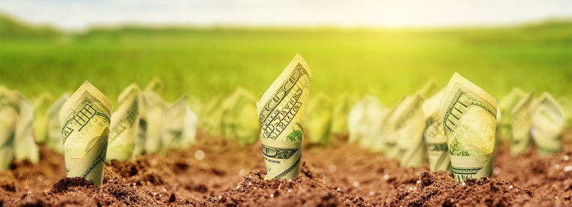 Cost is an important aspect of selecting your airline, but shouldn't be the only factor. Photo courtesy of Shutterstock.