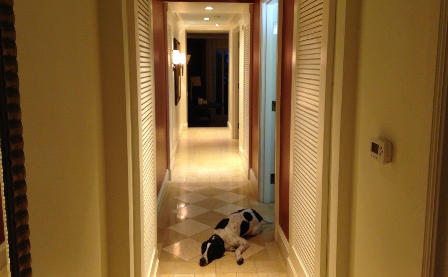 VB Hotel & Spa hallway