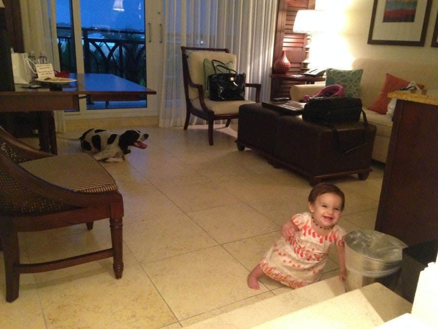 Evy quickly found the stairs to the living room!