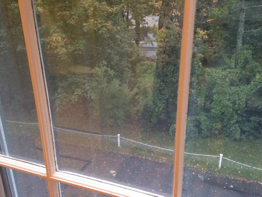 Equinox view from room