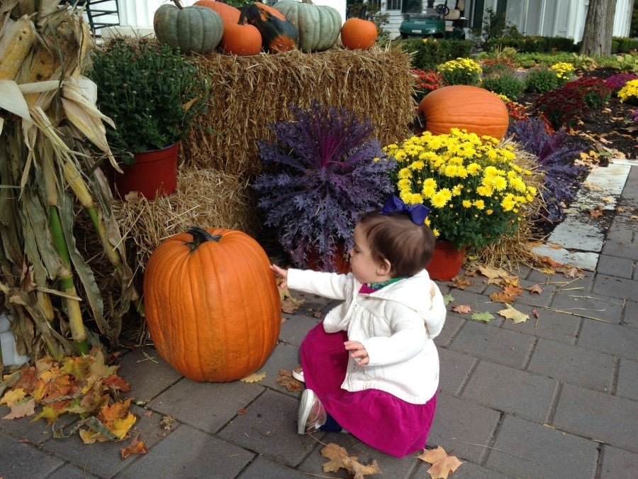 Evy was fascinated by the pumpkin display at the front entrance of the resort.