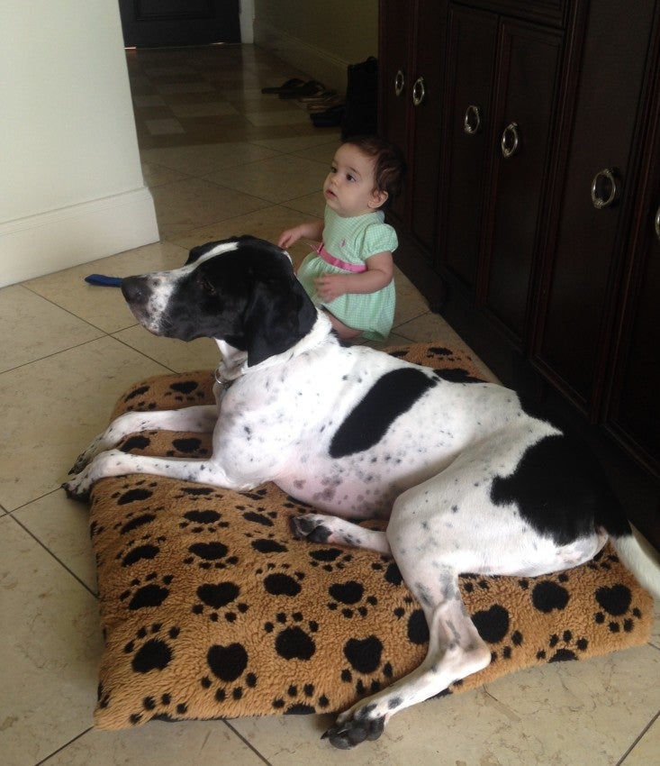 It took a while, but Winston eventually had his bed.