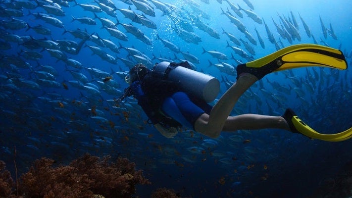 Scuba Diving featured shutterstock 141494932