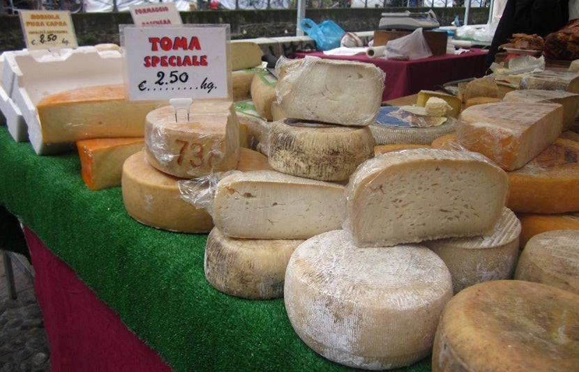 CHEESE