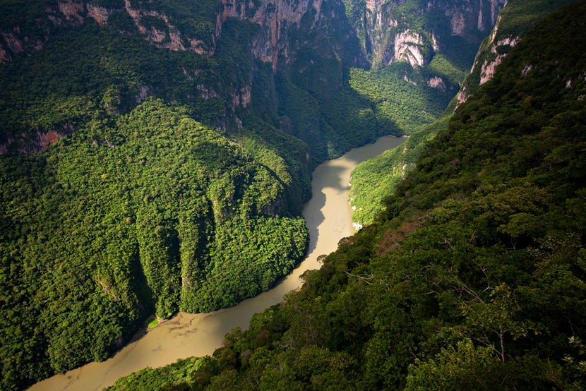 Sumidero Canyon, Photo courtesy of Shutterstock.