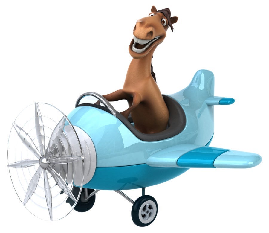 Horses like to fly too! Photo courtesy of Shutterstock.
