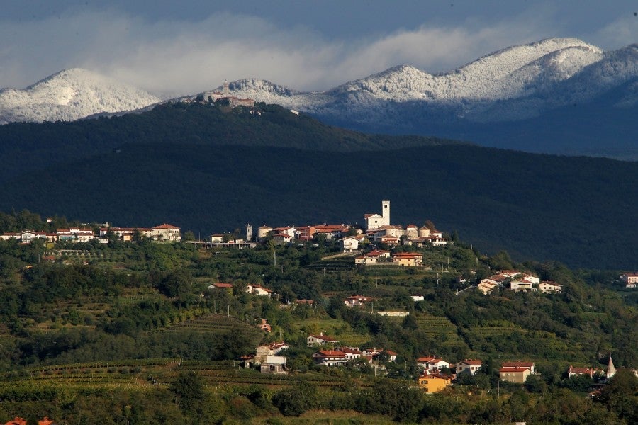 The mountain-fringed vineyards of Slovenia's Goriska Brda region. Photo by Ales Fevzer, courtesy of Slovenia Tourism.