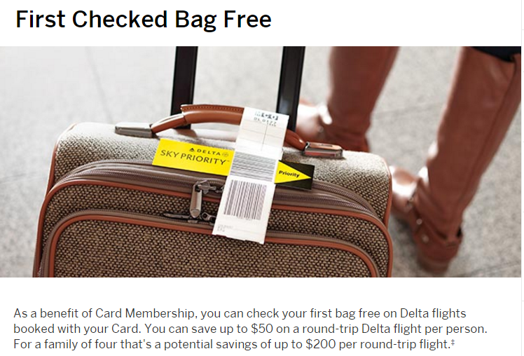 The Amex Gold Delta card gets you a free checked bag for you and up to eight of your travel companions!