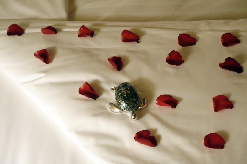 A last-night treat.