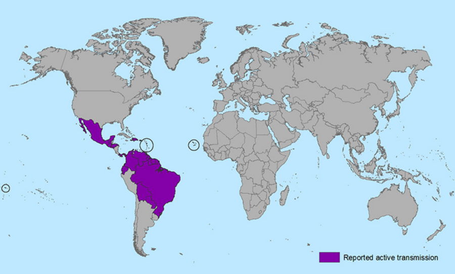 Image courtesy of CDC.