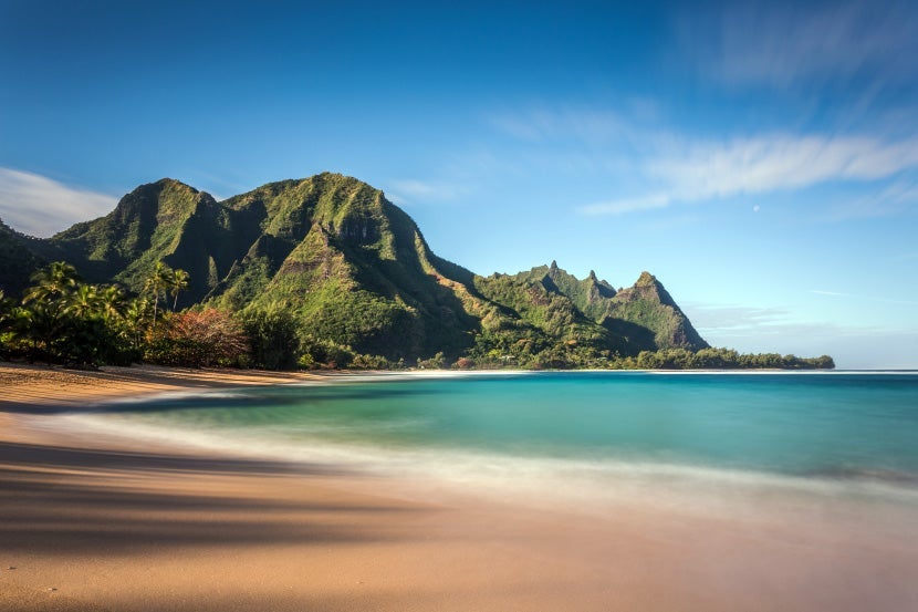 Image courtesy of Shutterstock.