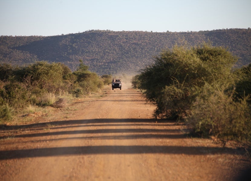 Madikwe Game Reserve is home to hundreds of species and incredible photographic opportunities.