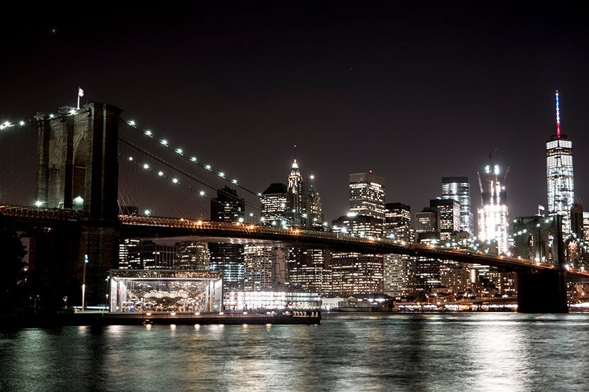 Downtown Manhattan, as viewed from Brooklyn Bridge Park. Image by Mitch Berman.