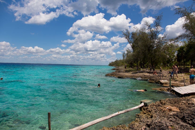 You can see some incredible marine life while snorkeling around the rocky areas of Playa Larga.