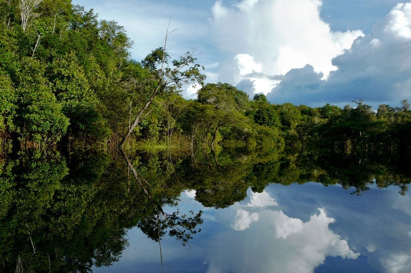 The Amazon River, image courtesy of <a href="http://www.shutterstock.com/pic-58189210/stock-photo-amazon-river-brazil.html?src=zNbFvg4uNdfsdAbgnTuicw-1-2">Shutterstock</a>.