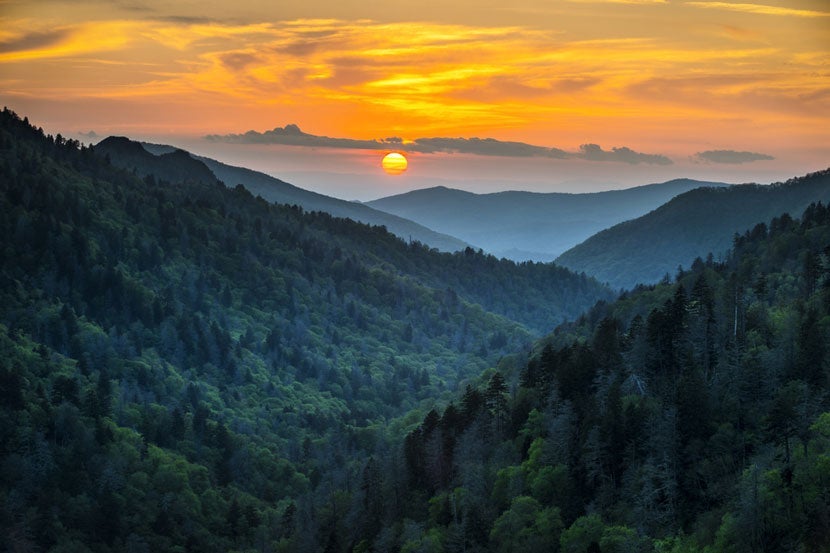 Smoky Mountains National Park. Image courtesy of Shutterstock.