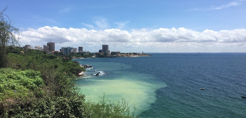 Dakar, the capital of Senegal, is a coastal city in West Africa.