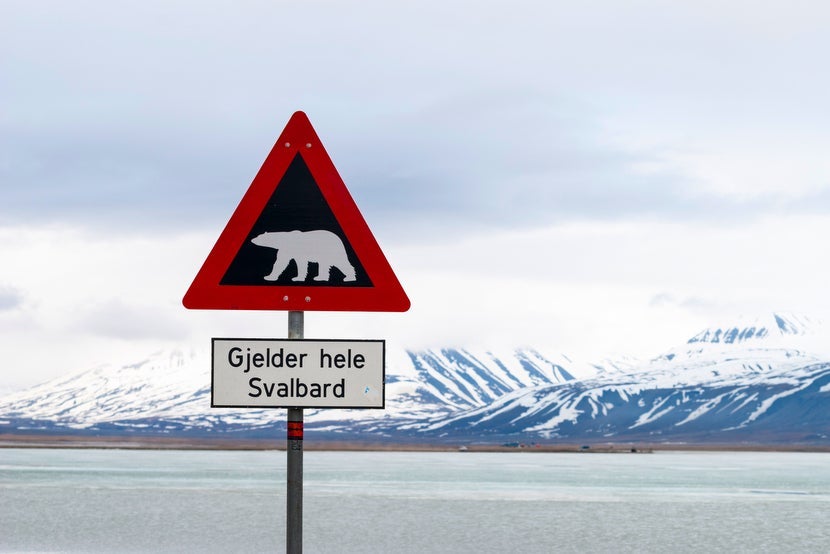 Trump will protect you from the polar bears. Image courtesy of <a href="http://www.shutterstock.com/pic-310997198.html">Shutterstock</a>.