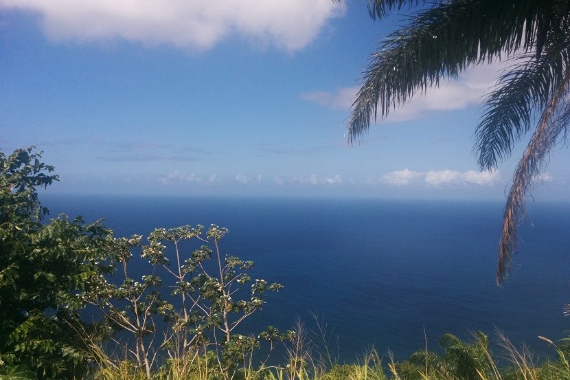 You don't have to go far off the road to get views like this. Image courtesy of the author.