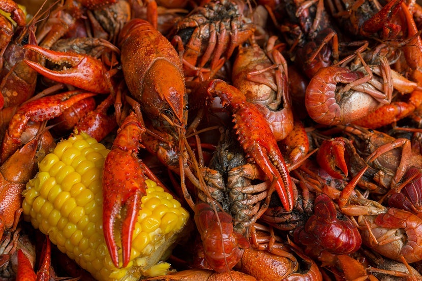 Spring in New Orleans means it's time to dig into some crawfish. Image courtesy of <a href="https://www.shutterstock.com/pic-407492227" target="_blank">Shutterstock</a>.