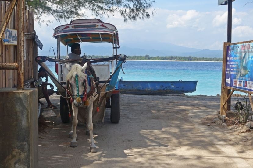 "No Cars Go" could be the Gili Islands theme song. Image courtesy of the author.
