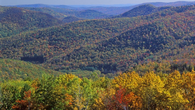 I used the below tools to book a cheap weekend trip to the Berkshires. Photo courtesy of Shutterstock.com