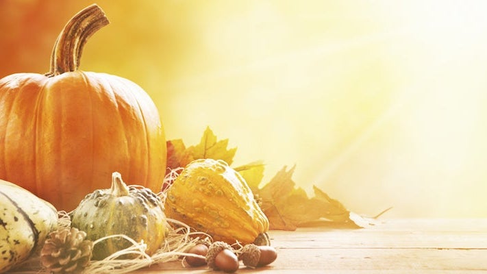 img-fall-shutterstock_303846593
