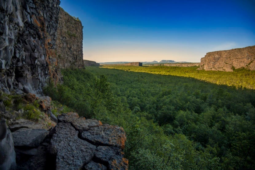 Ásbyrgi Canyon. Image courtesy of fitopardo.com via Getty Images.