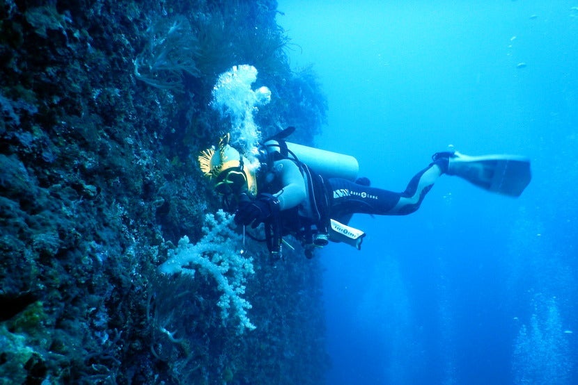 You may not notice it while exploring the oddities of the ocean, but SCUBA diving is a pretty good workout.