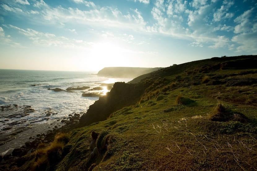 Get out of town for the weekend exploring the beaches along Phillip Island. Image courtesy of the Friends of Phillip Island's <a href="https://www.facebook.com/Friendsofphillipisland/" target="_blank">Facebook page</a>.