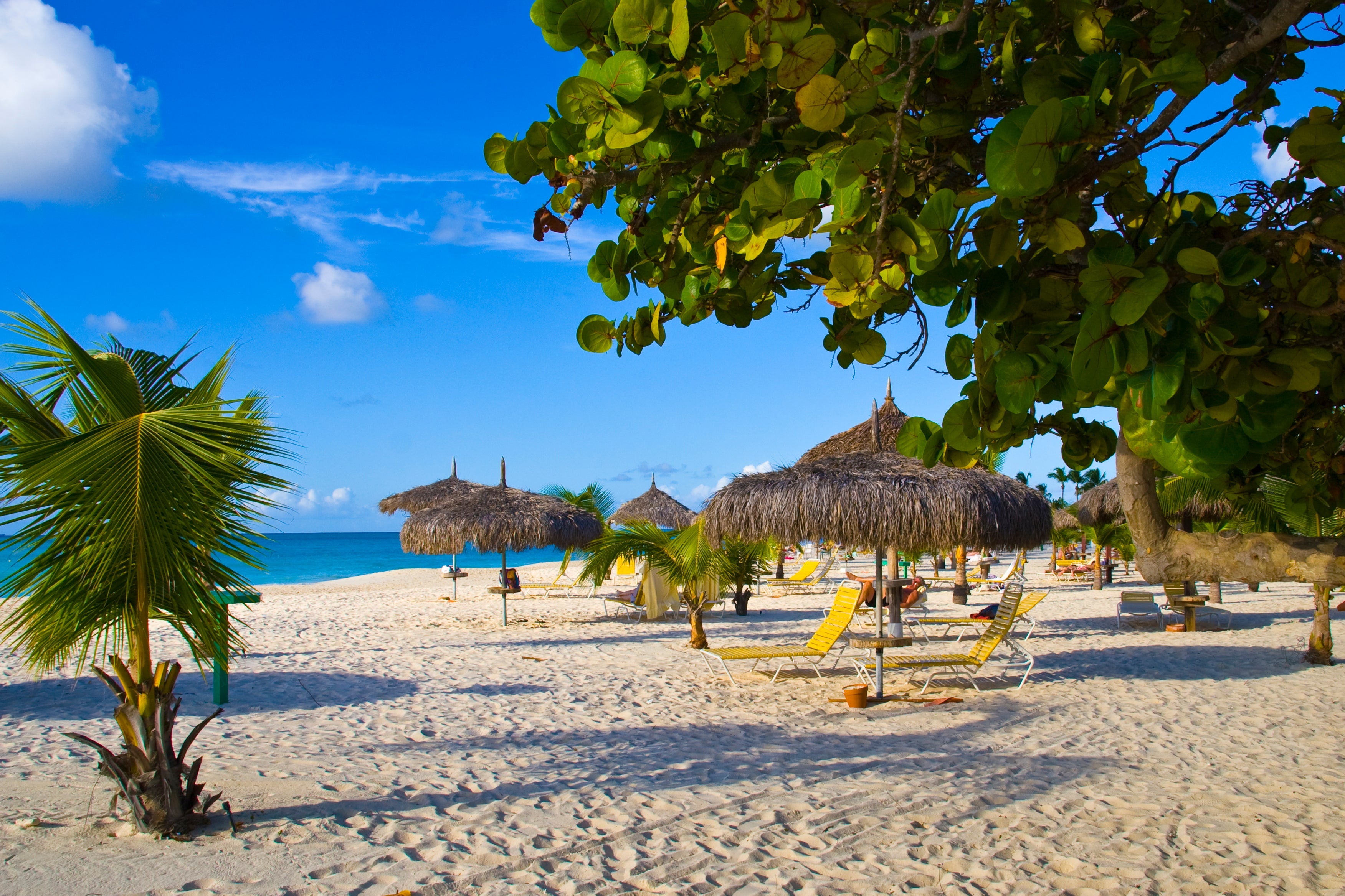 Eagle Beach in Aruba was ranked the third best beach in the world.